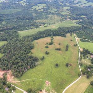 Photo #4 of 12 Blue Ridge Drive, Appomattox, VA 11.1 acres