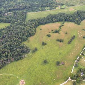 Photo #3 of 12 Blue Ridge Drive, Appomattox, VA 11.1 acres