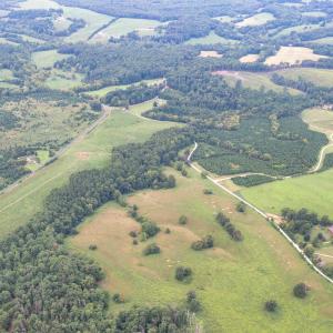Photo #5 of 24 Blue Ridge Drive, Appomattox, VA 7.4 acres