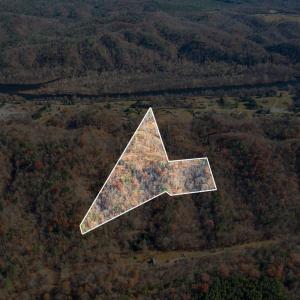 Photo #2 of Lee Jackson Highway, Big Island, VA 12.4 acres