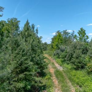 Photo #6 of Goggin Ford Road, Bedford, VA 20.0 acres