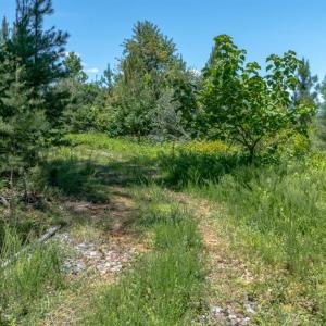 Photo #4 of Goggin Ford Road, Bedford, VA 20.0 acres