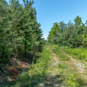 Photo #5 of Goggin Ford Road, Bedford, VA 20.0 acres