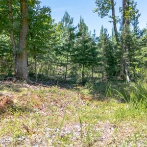 Photo #7 of Goggin Ford Road, Bedford, VA 20.0 acres