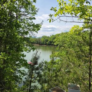 Photo #5 of Trellis Ridge Drive, Lynch Station, VA 1.9 acres