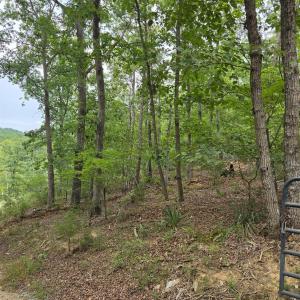 Photo #11 of Trellis Ridge Drive, Lynch Station, VA 1.9 acres