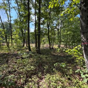 Photo #8 of Bent Creek Lot 3 Road, Concord, VA 1.1 acres