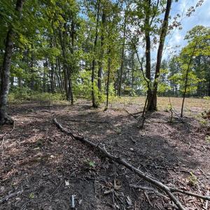 Photo #10 of Bent Creek Lot 3 Road, Concord, VA 1.1 acres