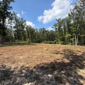 Photo #5 of Bent Creek Lot 3 Road, Concord, VA 1.1 acres