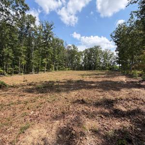 Photo #11 of Bent Creek Lot 3 Road, Concord, VA 1.1 acres