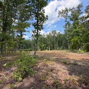 Photo #16 of Bent Creek Lot 3 Road, Concord, VA 1.1 acres