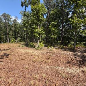 Photo #3 of Bent Creek Lot 3 Road, Concord, VA 1.1 acres