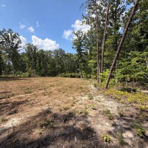 Photo #6 of Bent Creek Lot 3 Road, Concord, VA 1.1 acres
