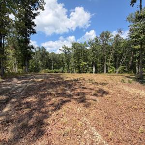 Photo #1 of Bent Creek Lot 3 Road, Concord, VA 1.1 acres