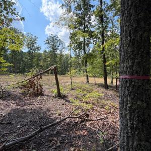 Photo #9 of Bent Creek Lot 3 Road, Concord, VA 1.1 acres