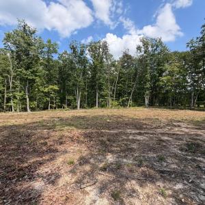 Photo #14 of Bent Creek Lot 3 Road, Concord, VA 1.1 acres