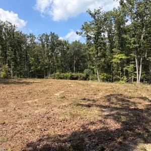 Photo #4 of Bent Creek Lot 3 Road, Concord, VA 1.1 acres