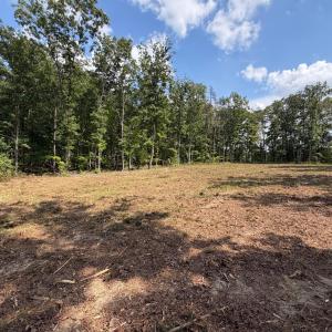 Photo #12 of Bent Creek Lot 3 Road, Concord, VA 1.1 acres