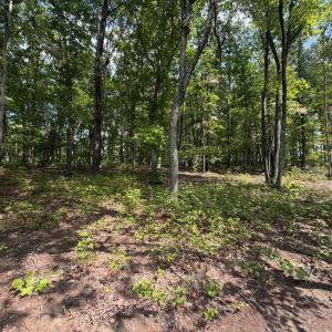 Photo #12 of Bent Creek Lot 1, Concord, VA 1.3 acres