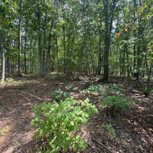 Photo #5 of Bent Creek Lot 1, Concord, VA 1.3 acres
