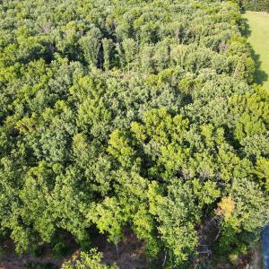 Photo #16 of Bent Creek Lot 1, Concord, VA 1.3 acres