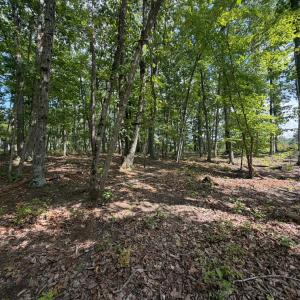 Photo #8 of Bent Creek Lot 1, Concord, VA 1.3 acres