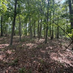 Photo #4 of Bent Creek Lot 1, Concord, VA 1.3 acres