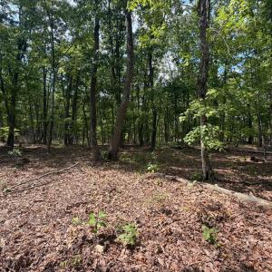 Photo #7 of Bent Creek Lot 1, Concord, VA 1.3 acres