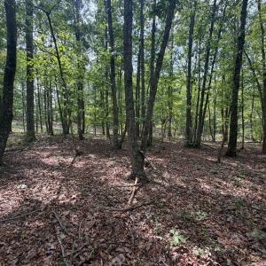Photo #3 of Bent Creek Lot 1, Concord, VA 1.3 acres