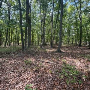 Photo #1 of Bent Creek Lot 1, Concord, VA 1.3 acres