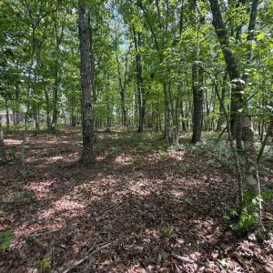 Photo #11 of Bent Creek Lot 1, Concord, VA 1.3 acres