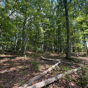 Photo #6 of Bent Creek Lot 1, Concord, VA 1.3 acres