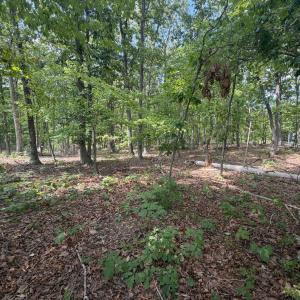 Photo #9 of Bent Creek Lot 1, Concord, VA 1.3 acres