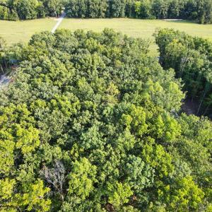 Photo #17 of Bent Creek Lot 1, Concord, VA 1.3 acres