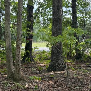 Photo #10 of Bent Creek Lot 1, Concord, VA 1.3 acres