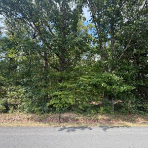 Photo #13 of Bent Creek Lot 1, Concord, VA 1.3 acres