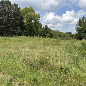 Photo #5 of Third Street, Farmville, VA 4.7 acres