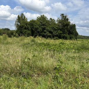 Photo #6 of Third Street, Farmville, VA 4.7 acres