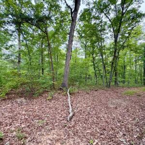 Photo #2 of Bent Creek A Road, Concord, VA 40.0 acres