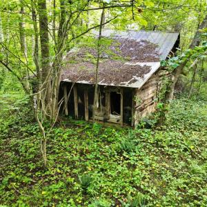 Photo #11 of Bent Creek A Road, Concord, VA 40.0 acres
