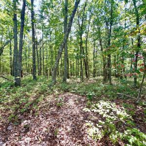 Photo #15 of Bent Creek A Road, Concord, VA 40.0 acres