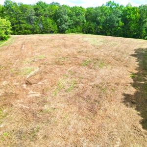 Photo #20 of Bent Creek A Road, Concord, VA 40.0 acres