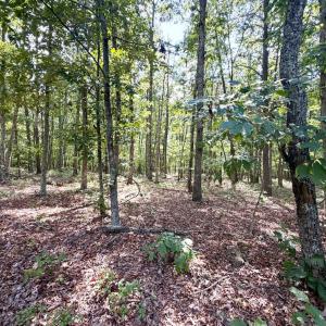 Photo #16 of Bent Creek A Road, Concord, VA 40.0 acres