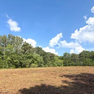 Photo #10 of Bent Creek A Road, Concord, VA 40.0 acres