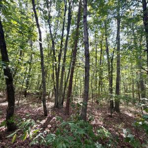 Photo #14 of Bent Creek A Road, Concord, VA 40.0 acres