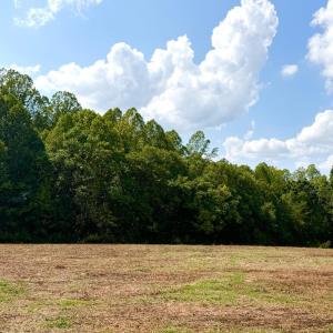 Photo #7 of Bent Creek A Road, Concord, VA 40.0 acres