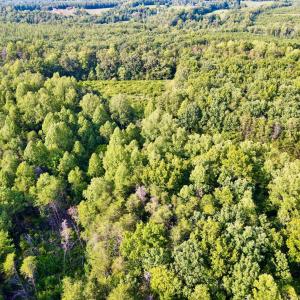 Photo #19 of Bent Creek A Road, Concord, VA 40.0 acres