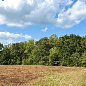 Photo #6 of Bent Creek A Road, Concord, VA 40.0 acres
