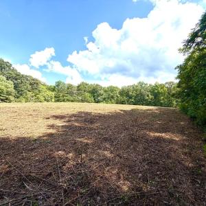 Photo #9 of Bent Creek A Road, Concord, VA 40.0 acres