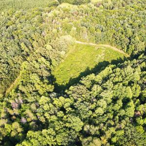 Photo #18 of Bent Creek A Road, Concord, VA 40.0 acres